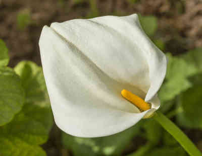 10024